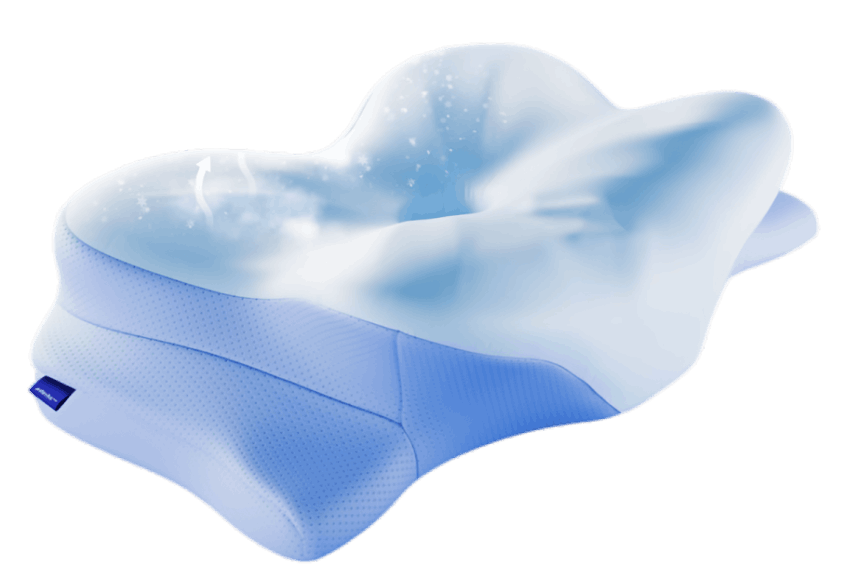 Melara pro pillow